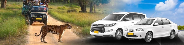 Bhandhavgrah Car Rental Service