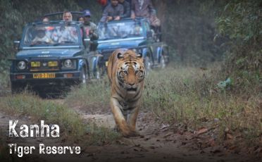 Kanha Tiger Reserve