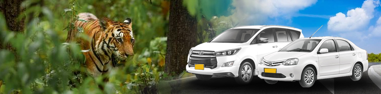 Kanha  Car Rental Service 