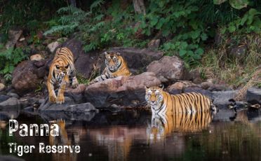 Panna Tiger Reserve
