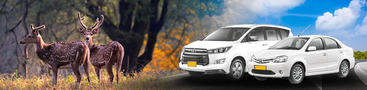 Sanjay Dubri Car Rental Service