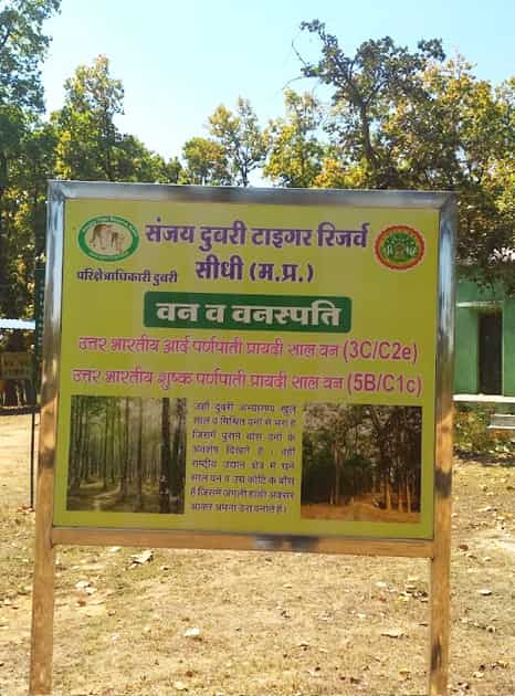 wildlife tour madhya pradesh