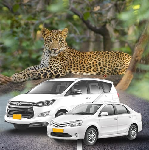 Taxi Service from Sanjay Dubri